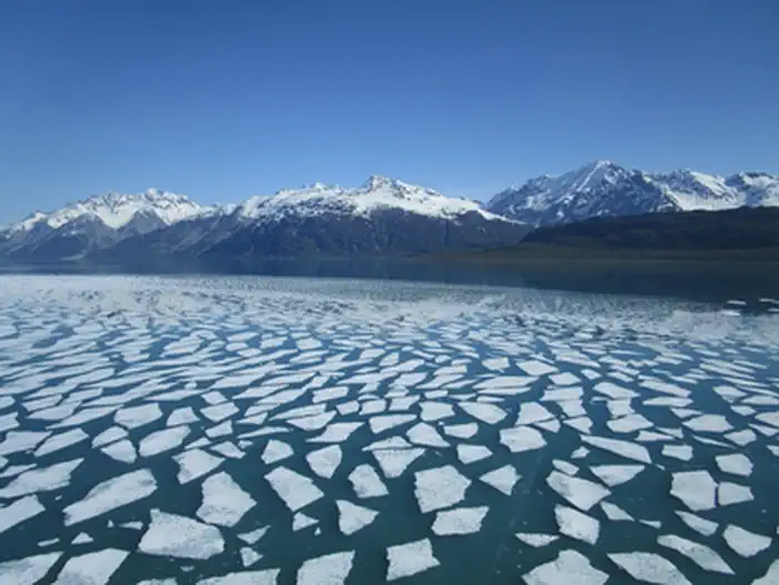 Glacier Bay National Park & Preserve — Pan ice in Tarr Inlet