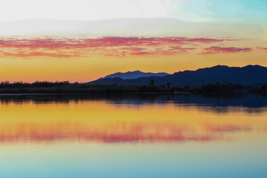 Mittry Lake Wildlife Area