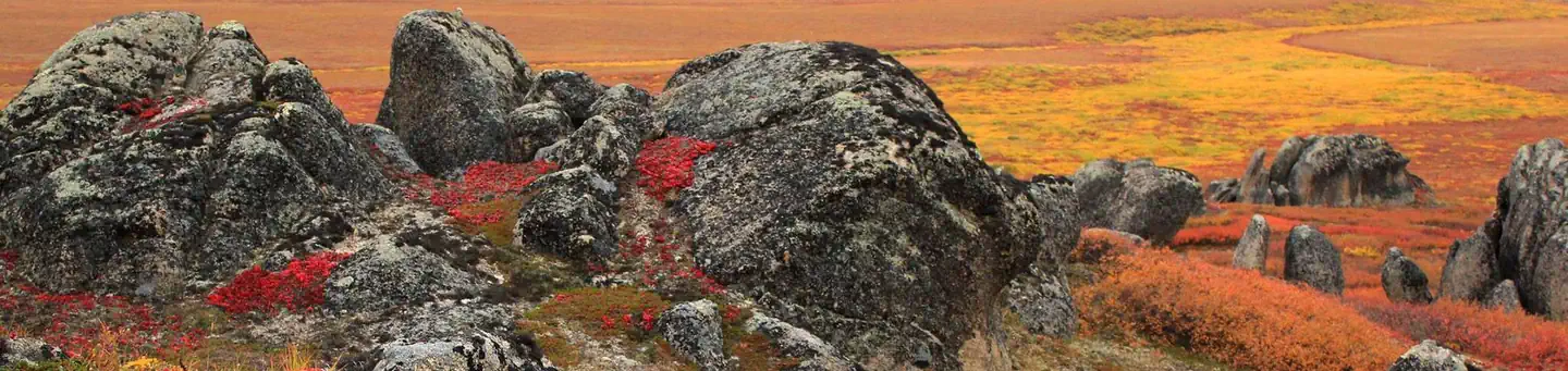 Bering Land Bridge National Preserve