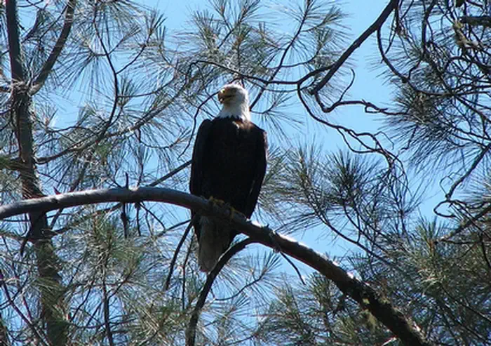 Red Hills Recreation Management Area