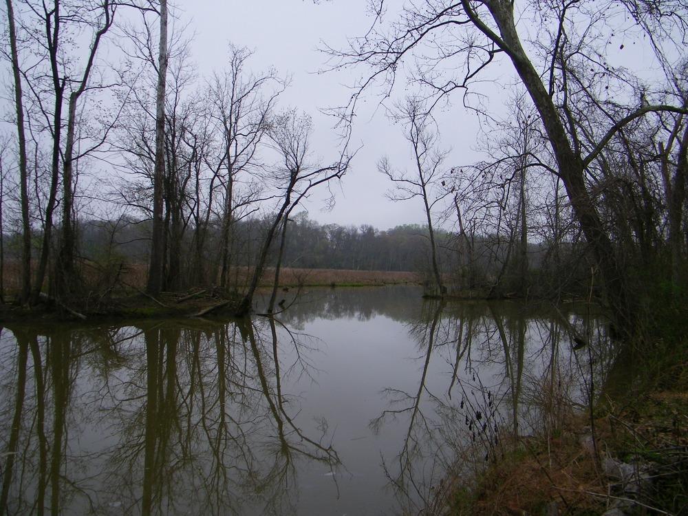 Harmony Hall — Broad Creek