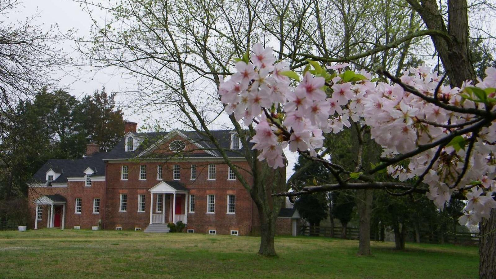 Harmony Hall