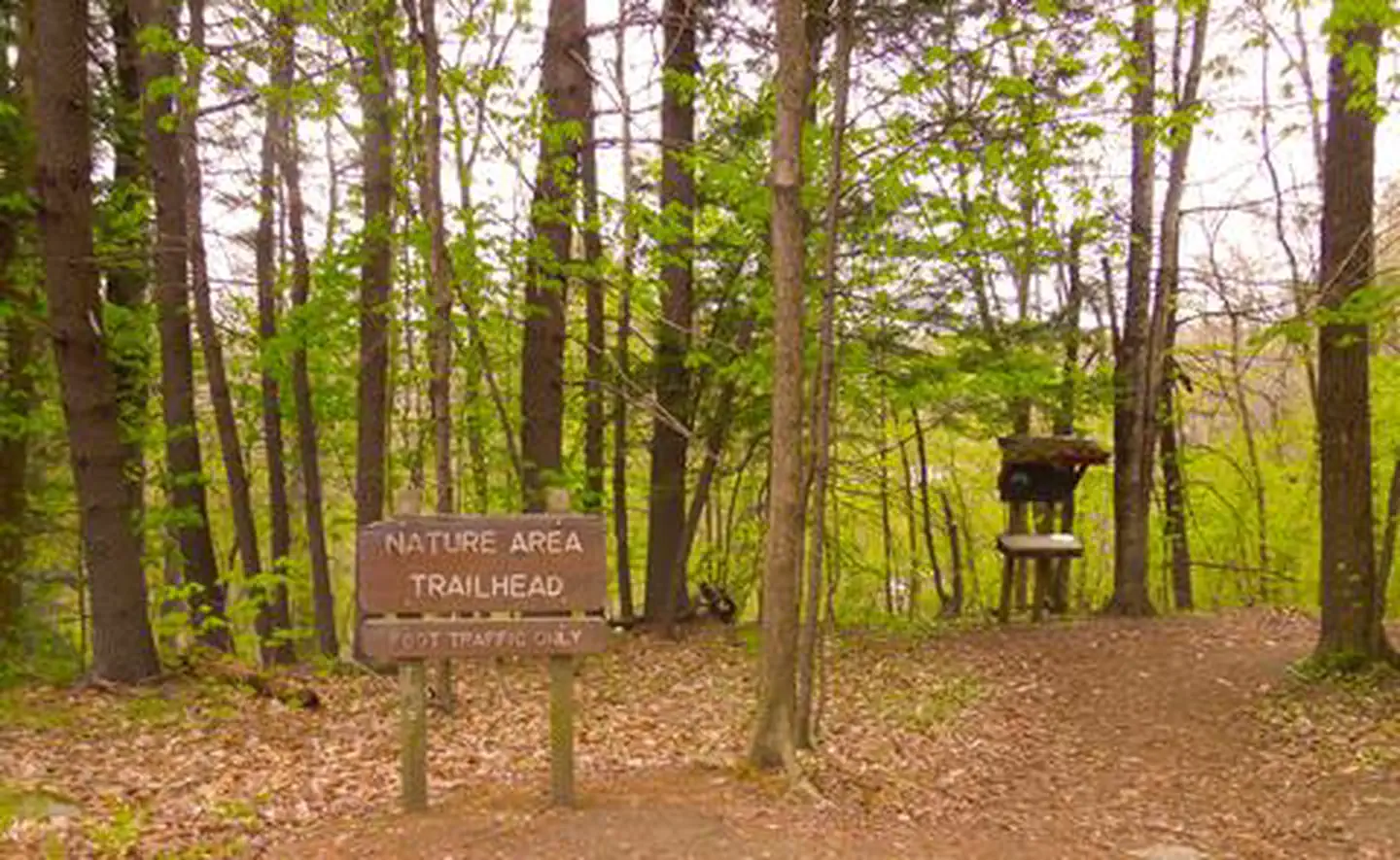 North Springfield Lake — Spring Weather Nature Trail