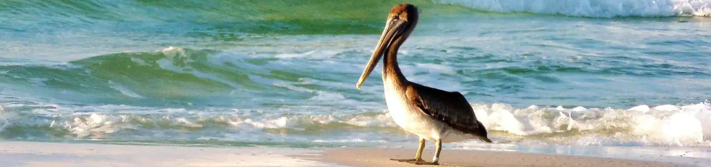 Gulf Islands National Seashore — Gulf Islands National Seashore
