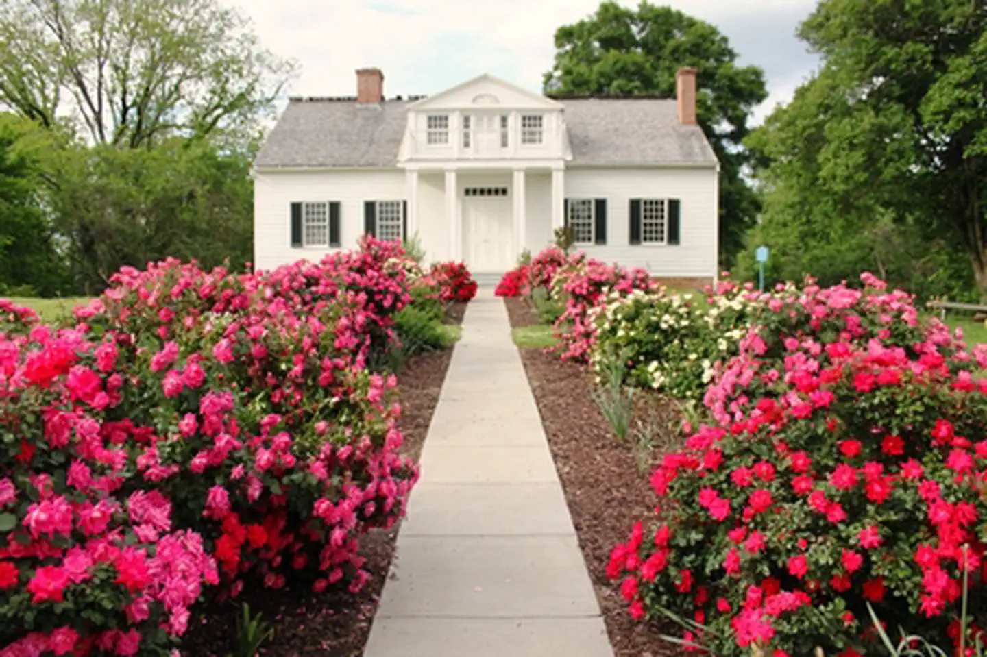 Vicksburg National Military Park — The Shirley House