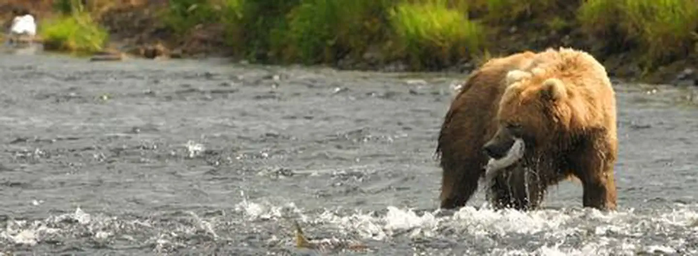 Kodiak National Wildlife Refuge — Kodiak National Wildlife Refuge