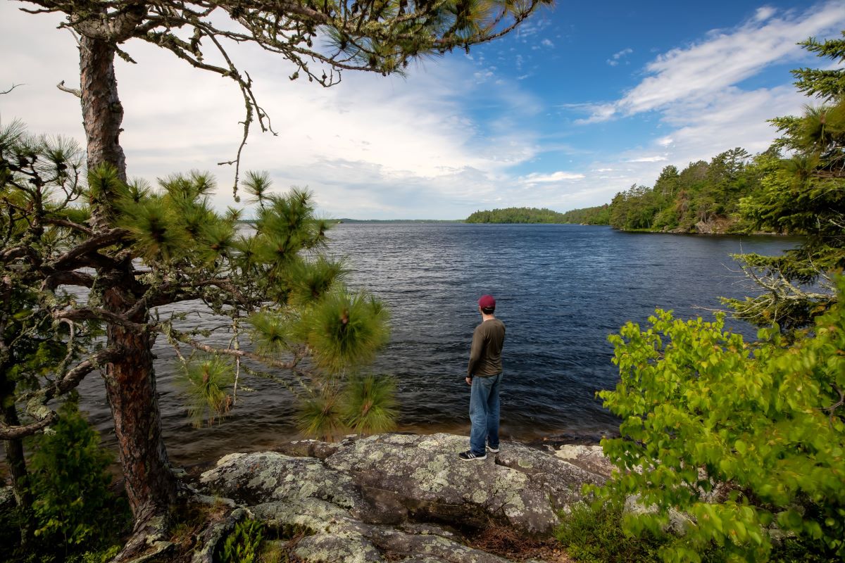 Lake Vermilion Public Islands — View of the lake from an island