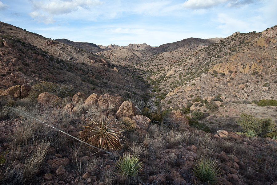 Baker Canyon Wilderness Study Area