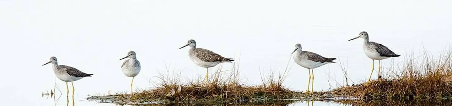 Parker River National Wildlife Refuge