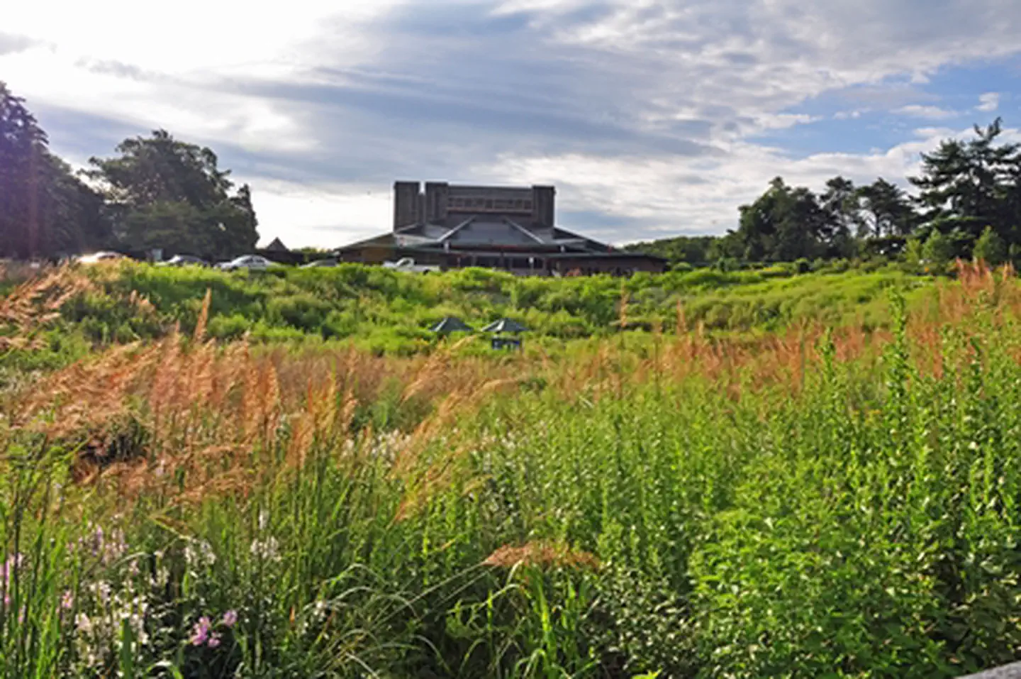 Wolf Trap National Park for the Performing Arts — Dimple Meadow