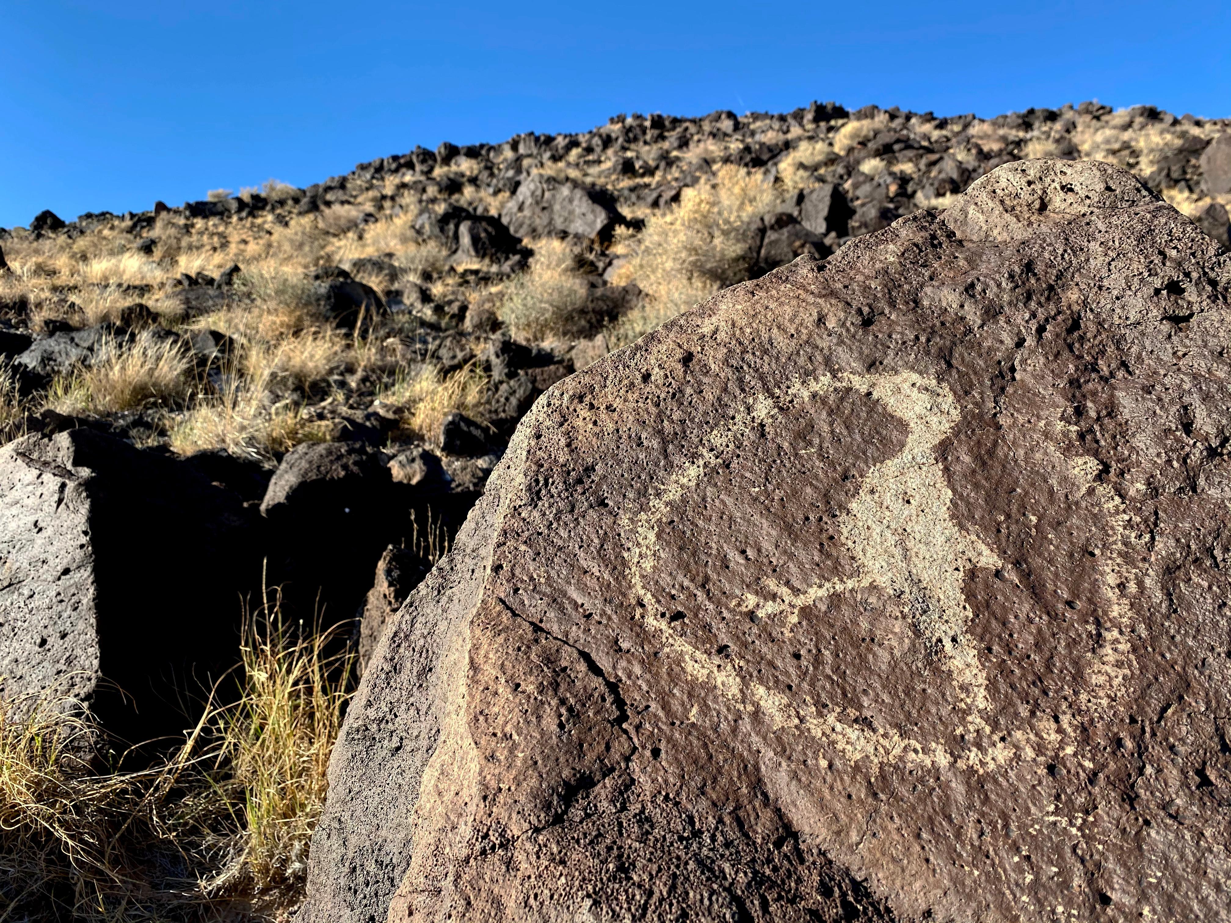 Petroglyph National Monument — Bird Petroglyph