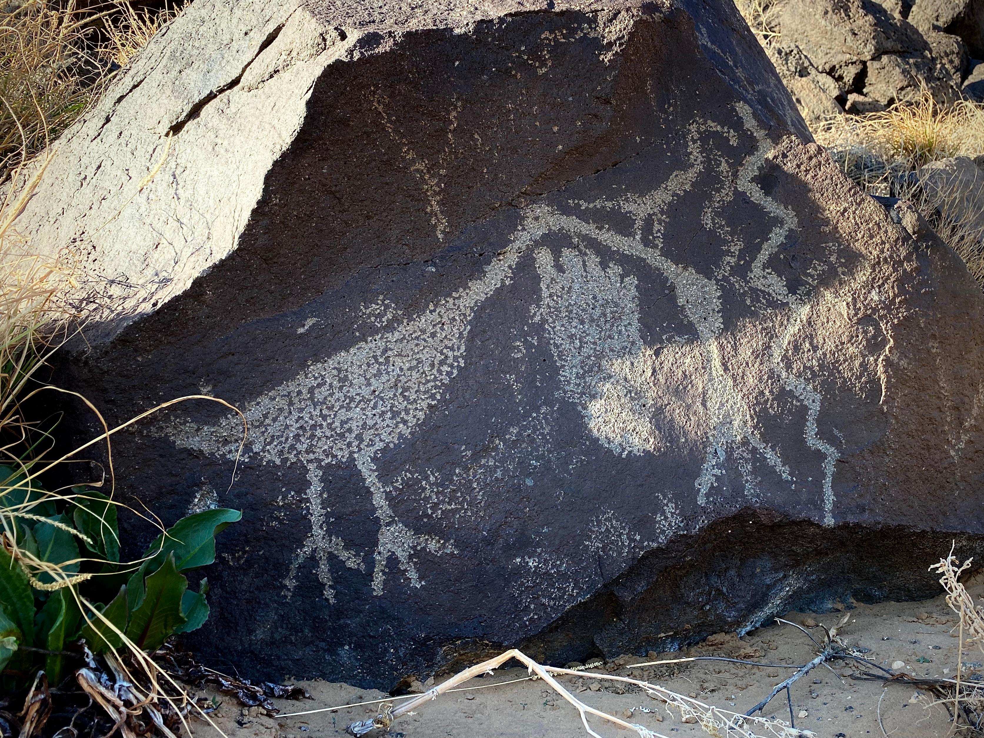 Petroglyph National Monument — Bird and Footprint Petroglyphs