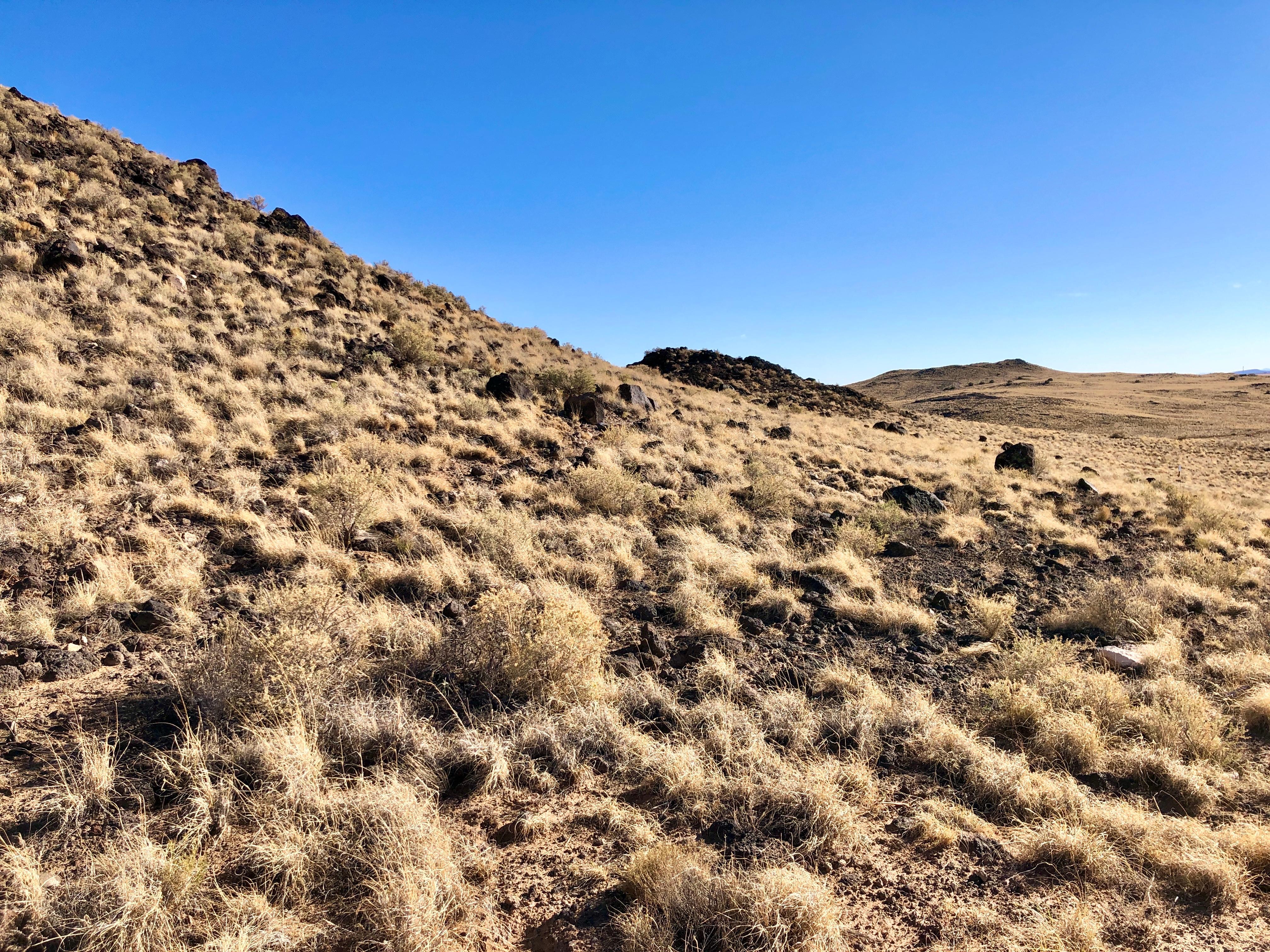 Petroglyph National Monument — The Volcanoes of Petroglyph