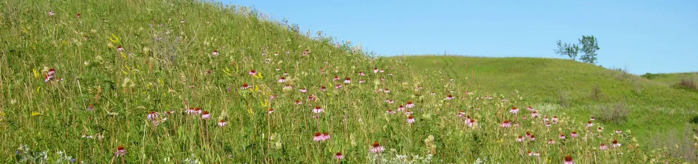 Upper Souris National Wildlife Refuge