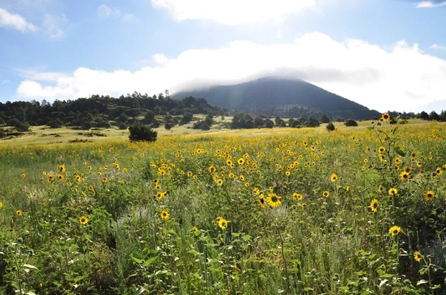 Capulin Volcano National Monument — Capulin Volcano