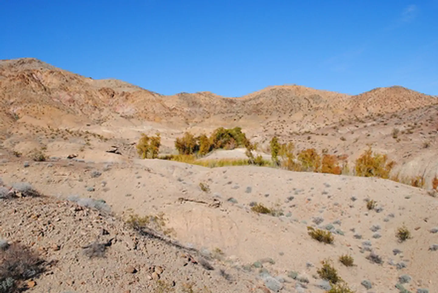 Bonanza Springs Watchable Wildlife Area