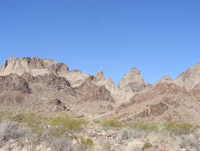 Trilobite Wilderness