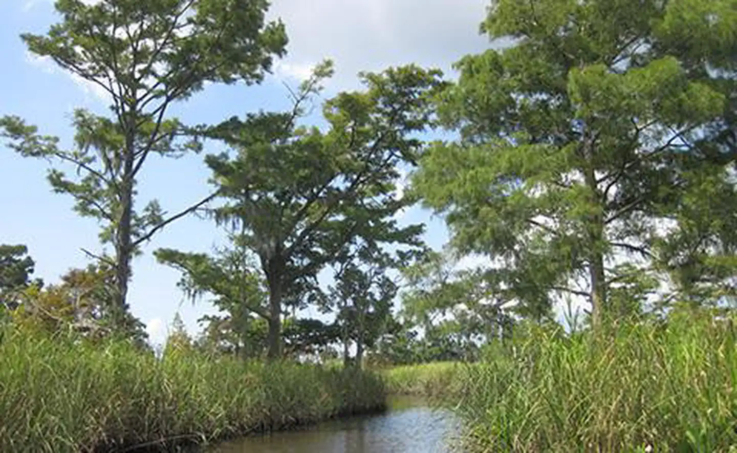 Apalachicola National Estuarine Research Reserve