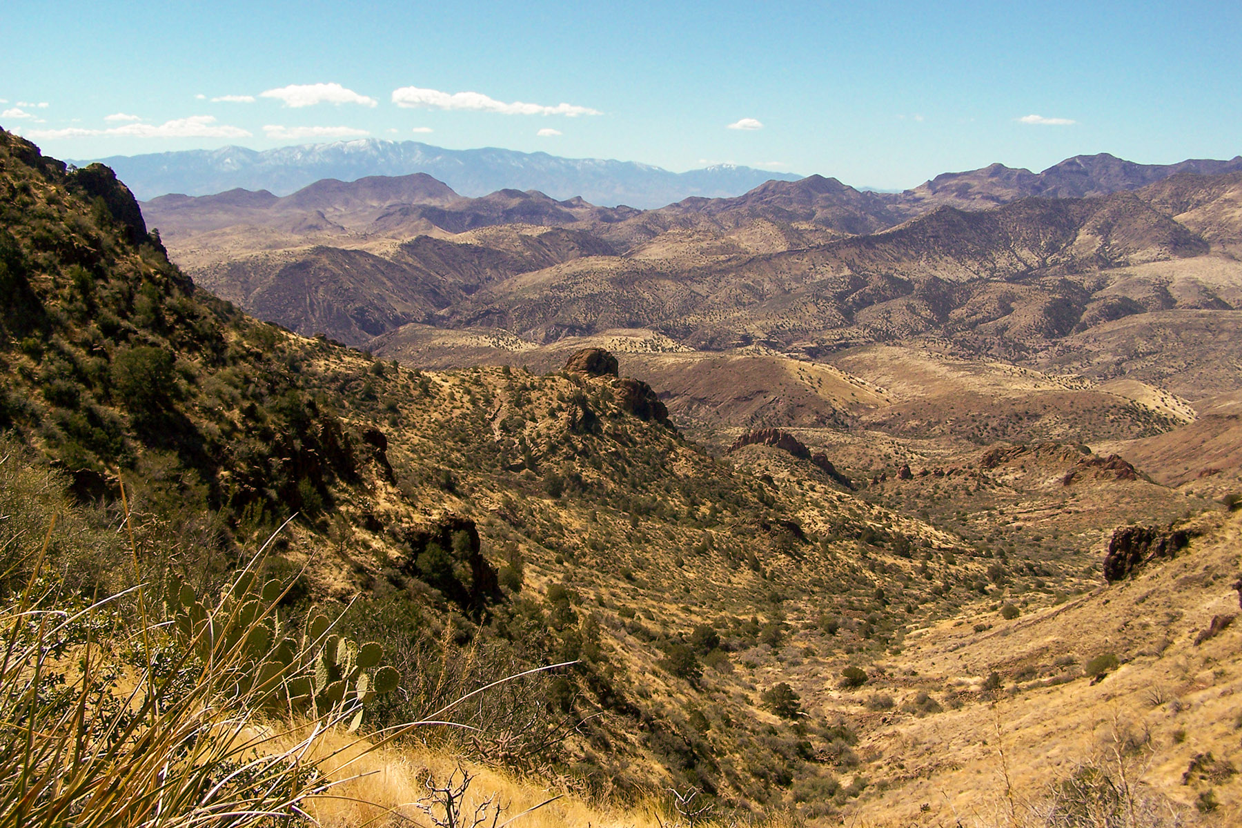 Safford-Morenci Trail