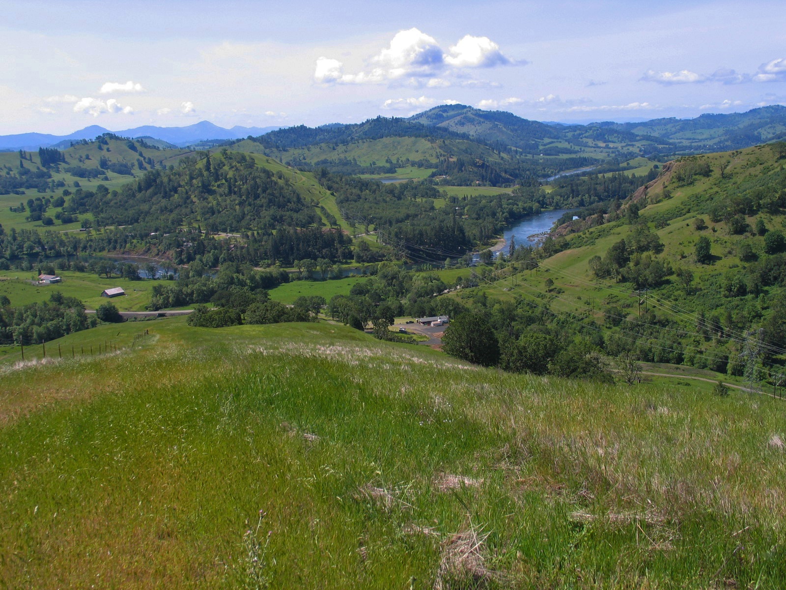 North Bank Habitat Management Area