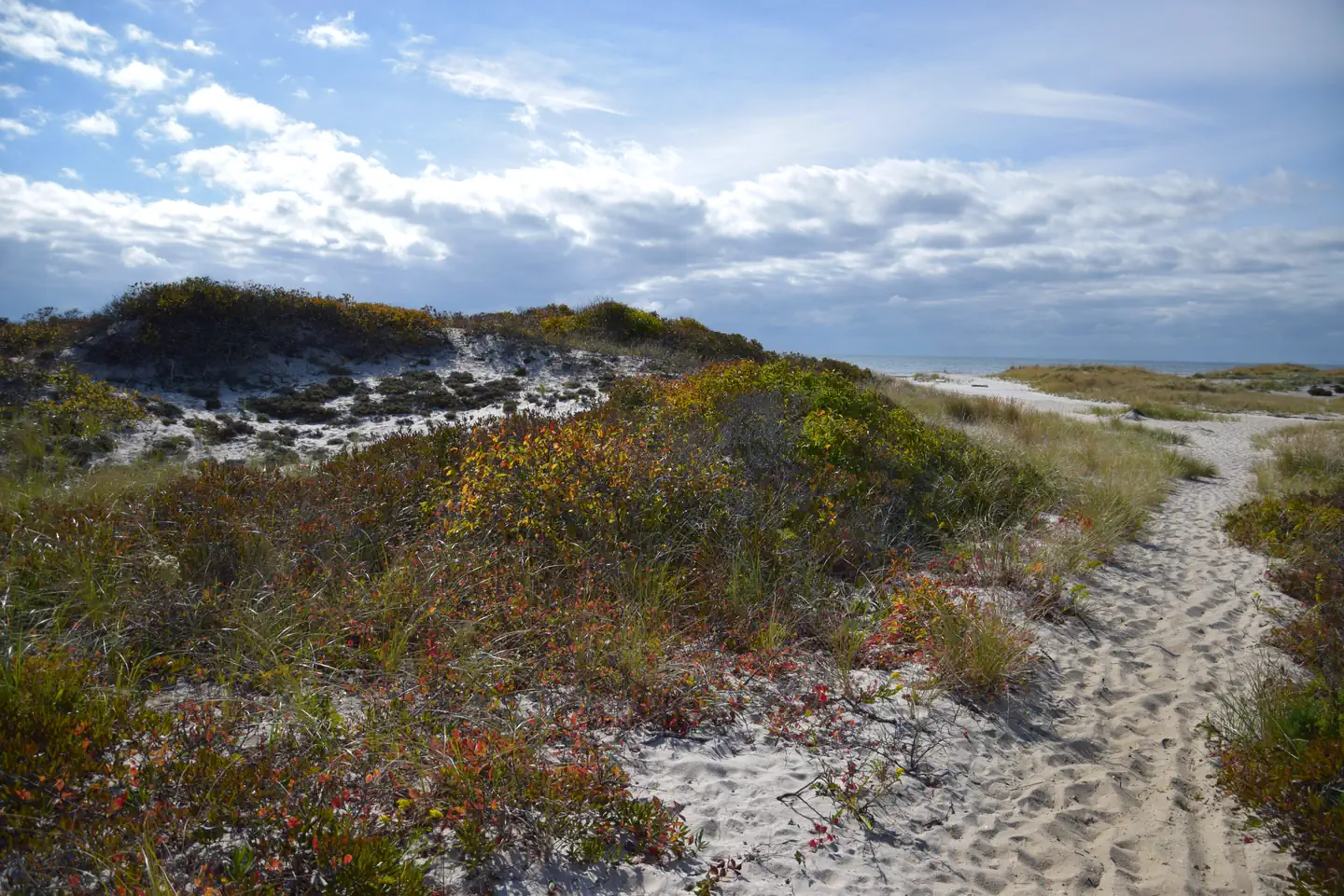 Fire Island National Seashore — Fire Island Wilderness
