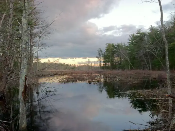 Assabet River National Wildlife Refuge