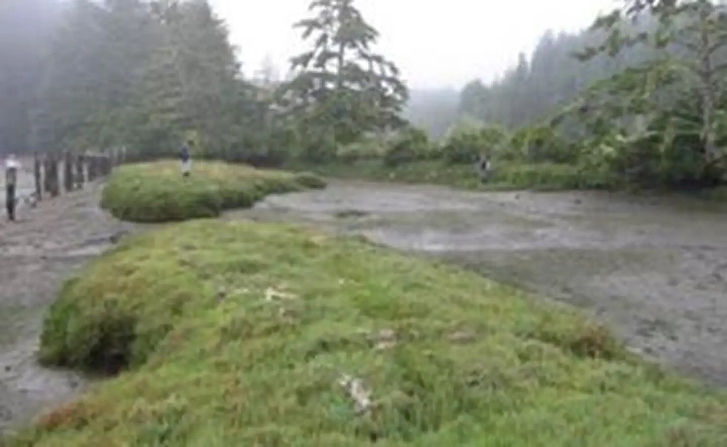 South Slough National Estuarine Research Reserve