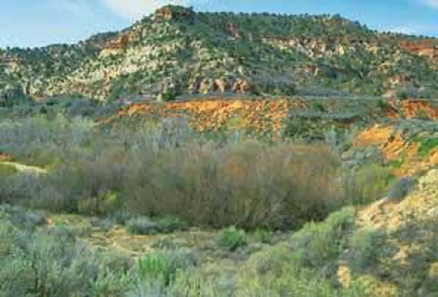 Kanab Creek Wilderness
