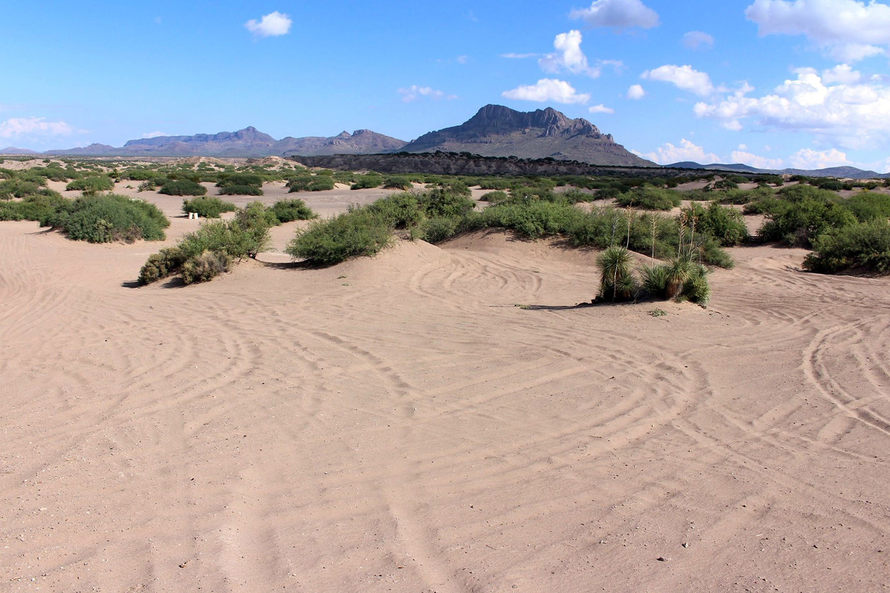 Hot Well Dunes Recreation Area