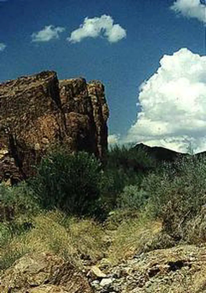 Muggins Mountain Wilderness