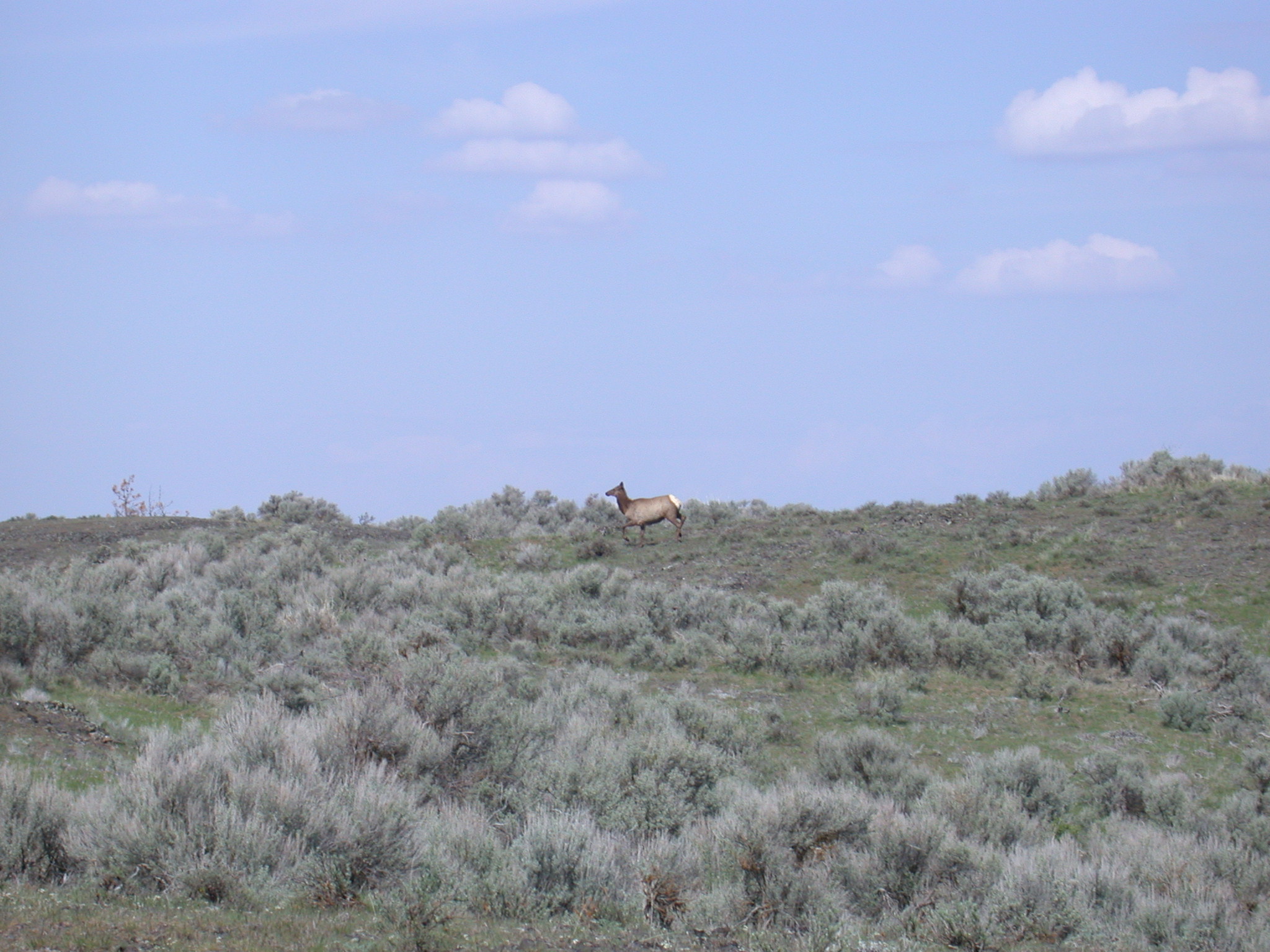 Telford Recreation Area