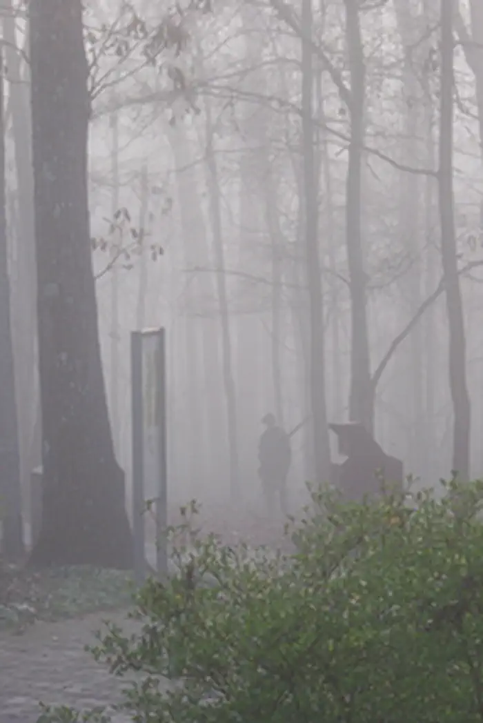 Ninety Six National Historic Site — Exhibit in the Fog