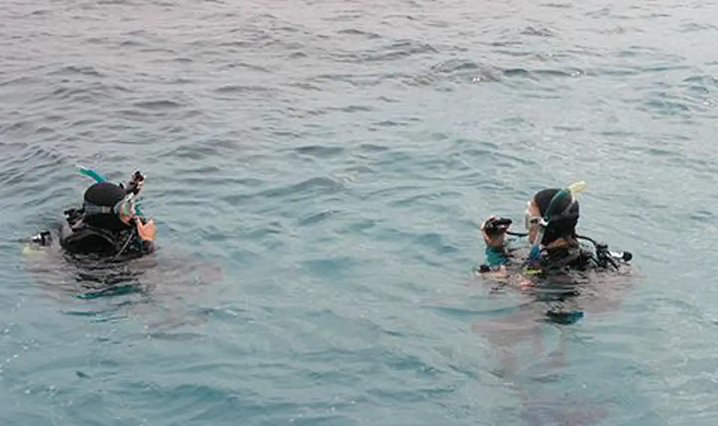 Florida Keys National Marine Sanctuary — Two Divers