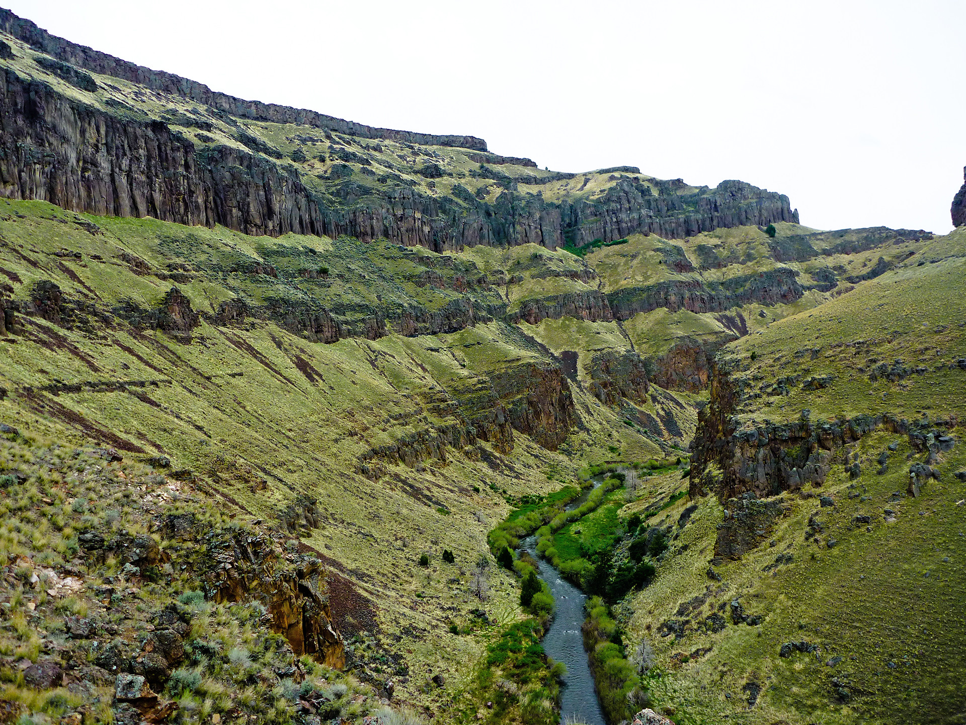West Fork Bruneau Wild and Scenic River