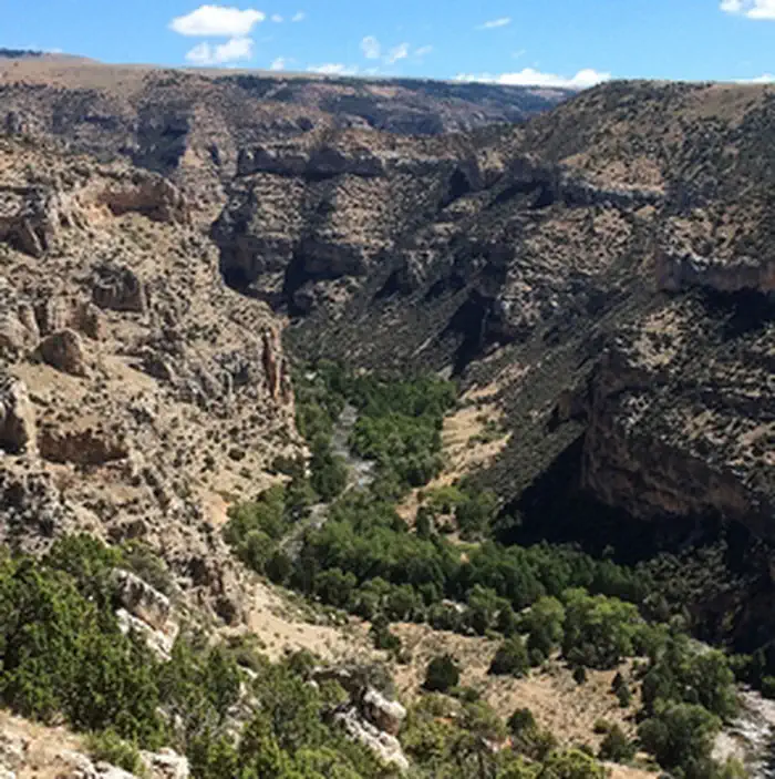 Lone Tree Trail