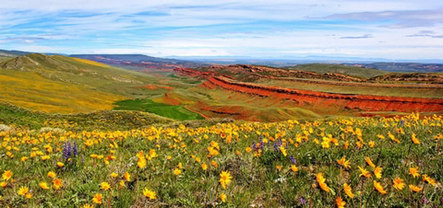 Red Canyon Overlook