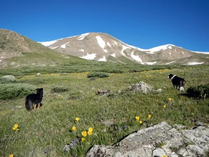 Mosquito Peaks — Mosquito Peak