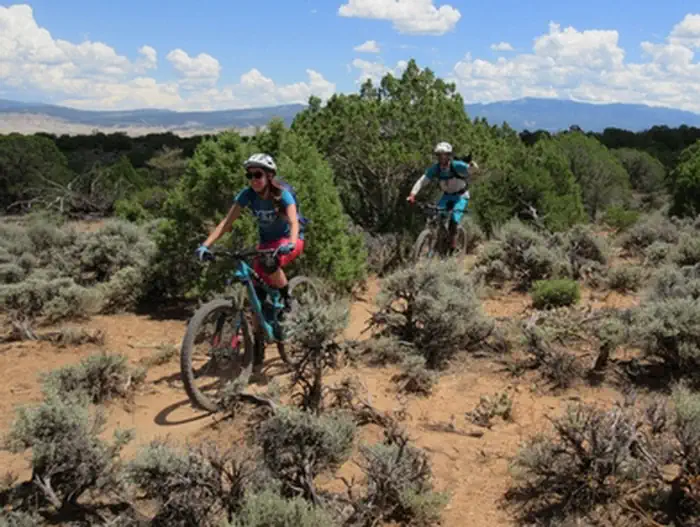 Buzzard Gulch Trail System
