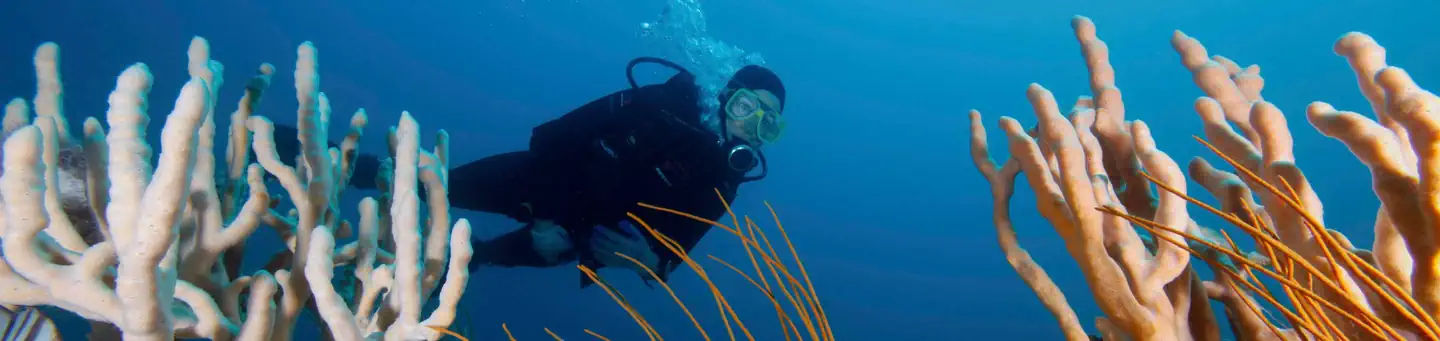 Gray's Reef National Marine Sanctuary — Gray's Reef National Marine Sanctuary