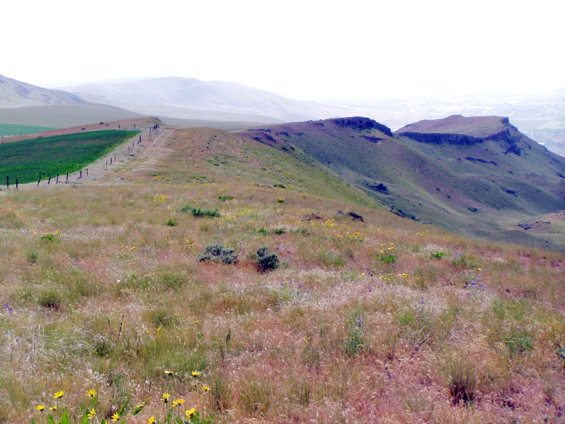 Horse Heaven Hills — View from West Ridge Road.