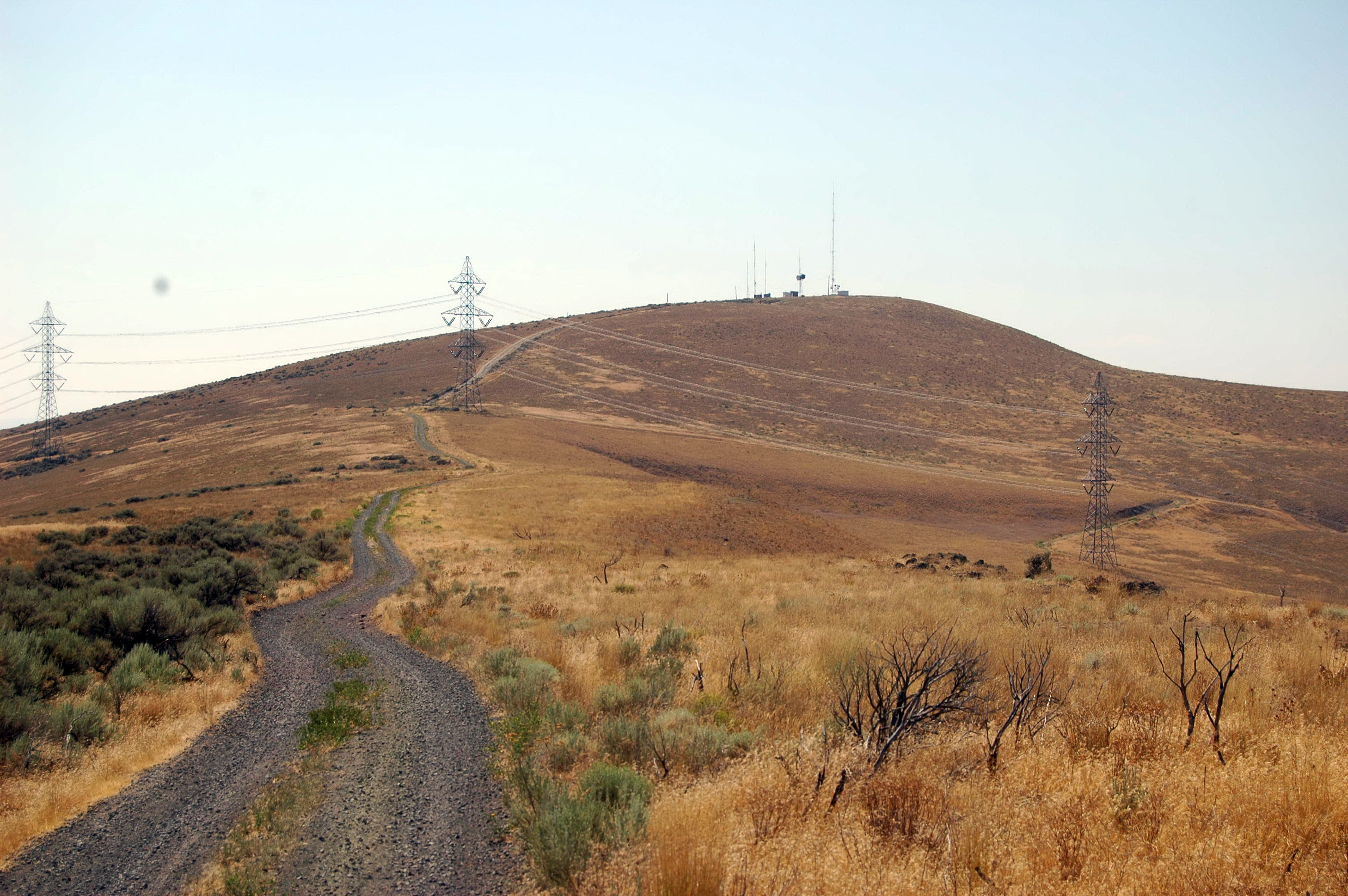 Horse Heaven Hills — View near top of Horse Heaven Hills.