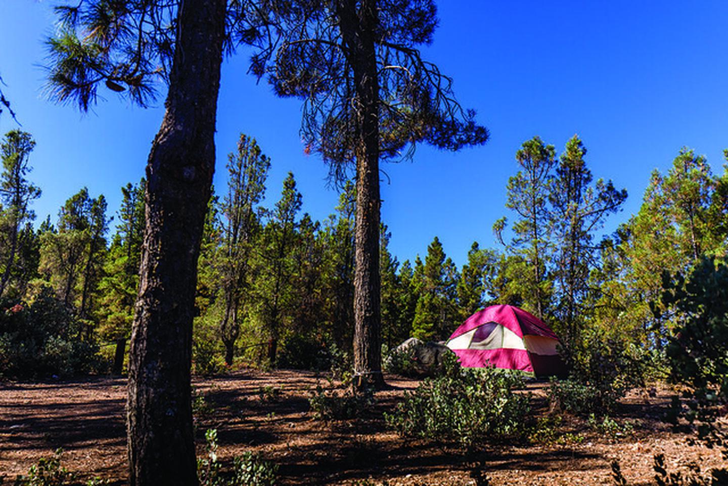 North Cow Mountain Recreation Area