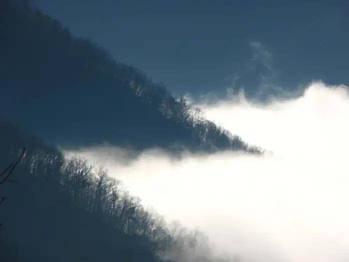 New River Gorge National Park & Preserve — Foggy morning