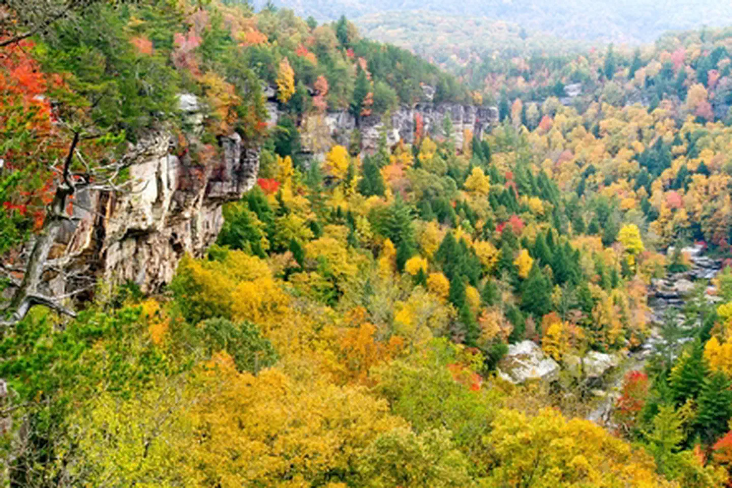 Obed Wild & Scenic River — Obed WSR in Fall