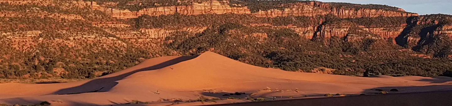 Coral Pink Sand Dunes