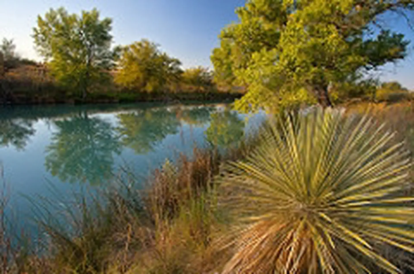 Black River Recreation Area — Black River Recreation Area