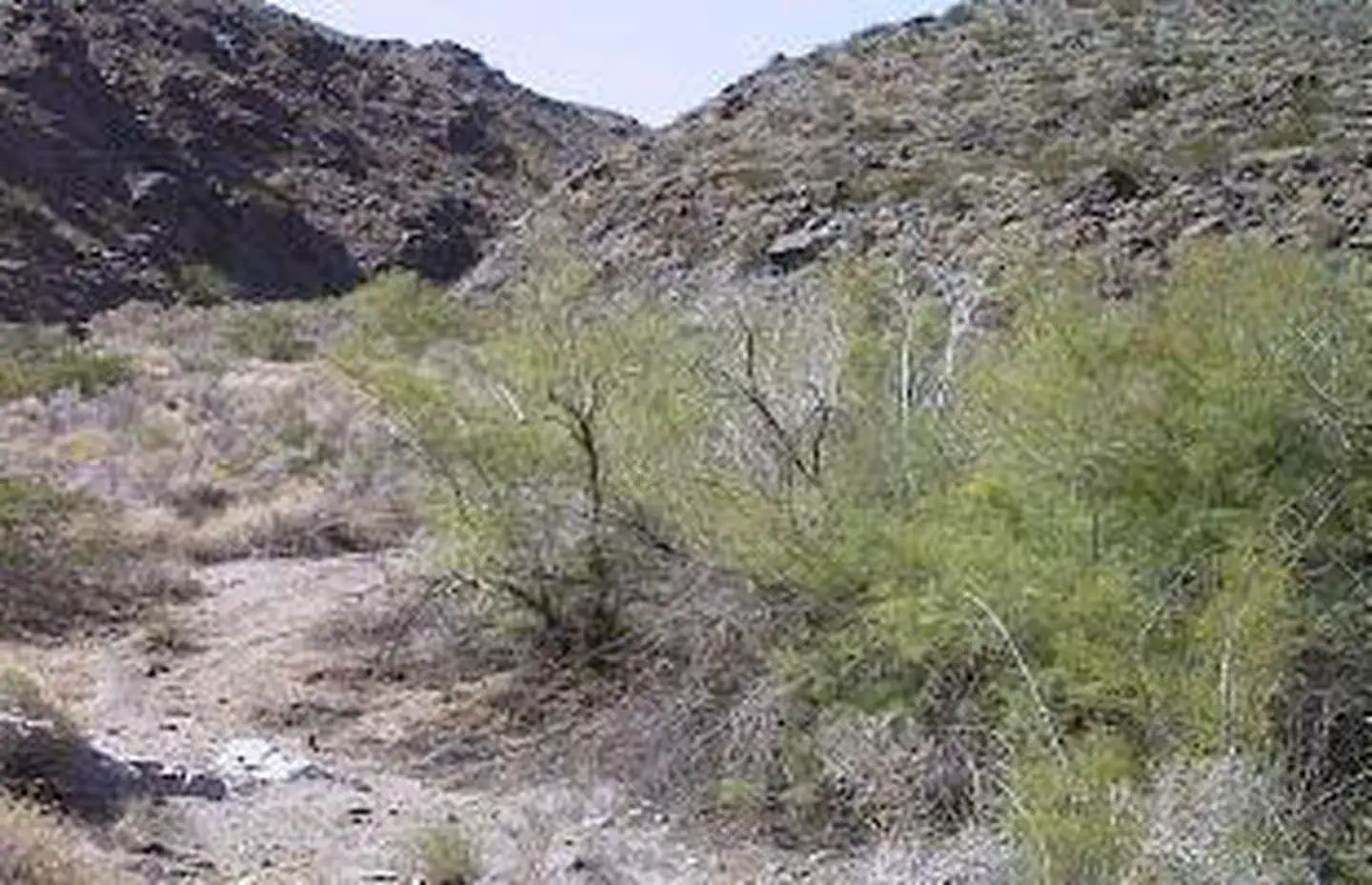 Dead Mountains Wilderness