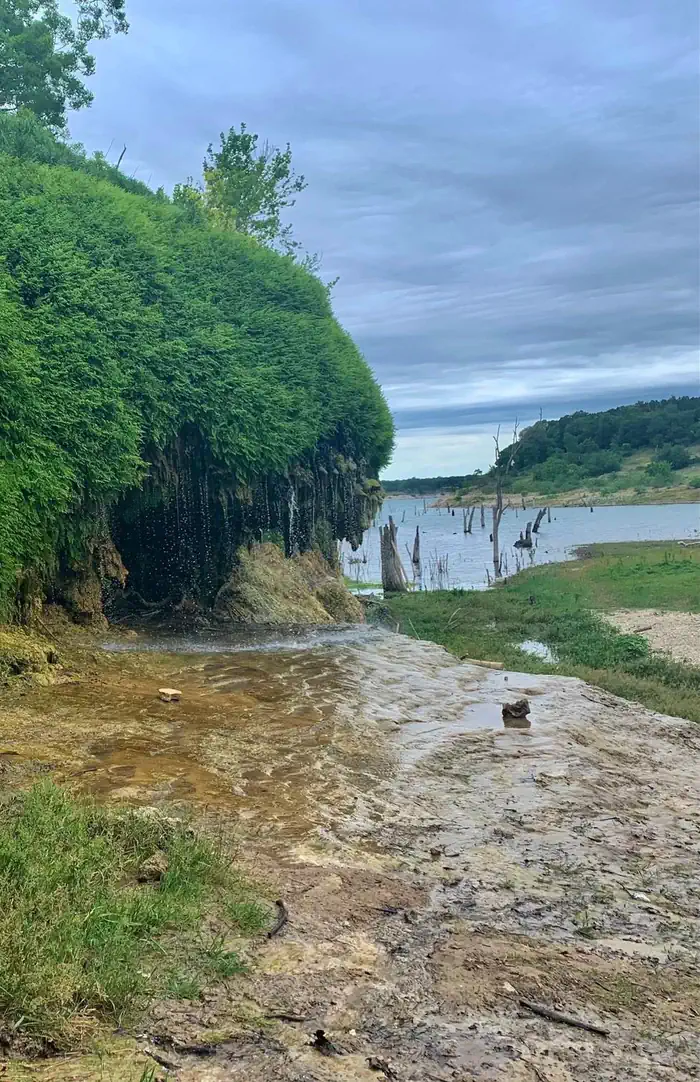 Georgetown Lake — Crocket Gardens 