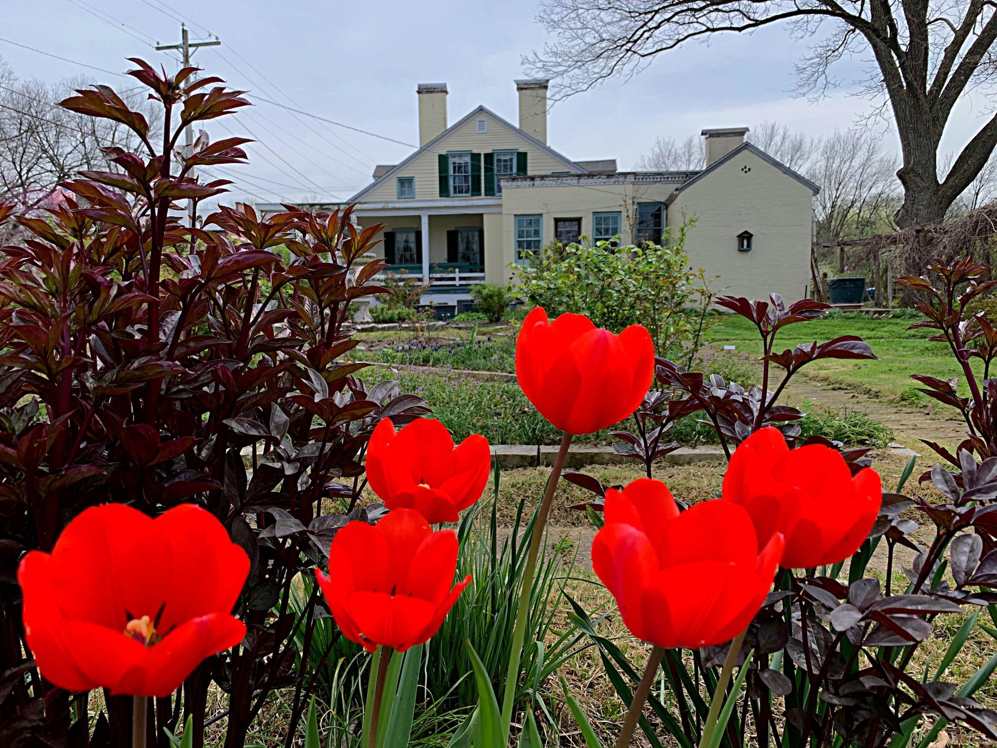 Sainte Geneviève National Historical Park — Jean-Baptiste Valle House