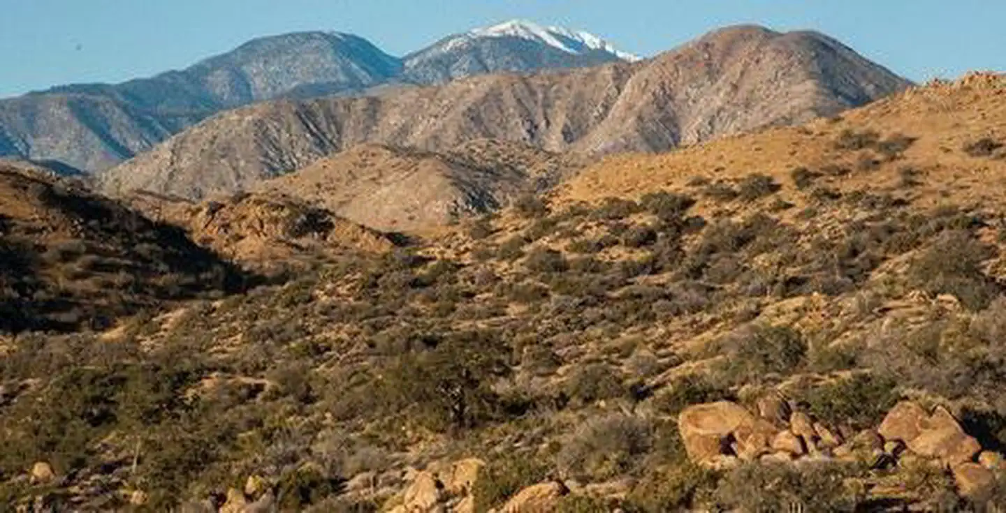 San Gorgonio Wilderness